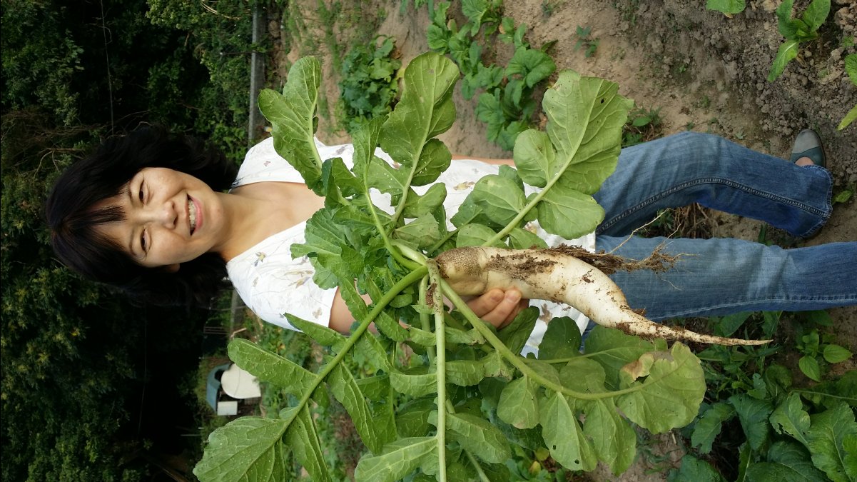 20131124 Organic Farm30